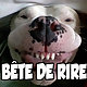 B2R
