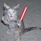 Animals and star wars