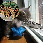 Animals with Guns - Cat Sniper, Monkey with a gun, Squirrel Machine Gu