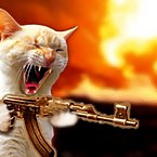 Animals with Guns - Cat Sniper, Monkey with a gun, Squirrel Machine Gu