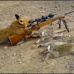 Animals with Guns - Cat Sniper, Monkey with a gun, Squirrel Machine Gu