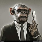 Animals with Guns - Cat Sniper, Monkey with a gun, Squirrel Machine Gu