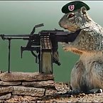 Animals with Guns - Cat Sniper, Monkey with a gun, Squirrel Machine Gu