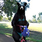 Bears and Bikes