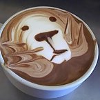 Lion Coffee