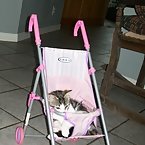 Buttons in baby doll stroller
