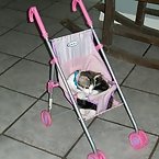 Buttons in baby doll stroller