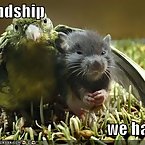 Rhino Ready for Summer