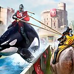 Killer whale jousting