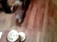 Smarty Cat - Cat Picks Her Own Food