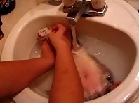 Ferret taking a bath