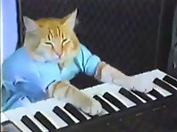 Charlie Schmidt's Keyboard Cat