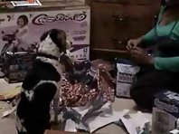 Sonic the Crazy Beagle: Christmas with a Crazy Beagle