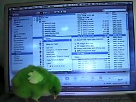 Greenie the Chick surveys computer world