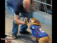 Bulldogs giving high fives!