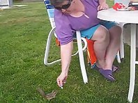 CHIPMUNK FATTY LOVES BEING HAND-FED!