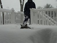 Swimming in the snow