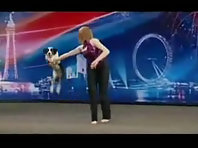 Britain_s Got Talent - Gin the clever funny dog