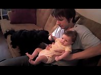 Child-biting Dog Makes Peace With Our Baby