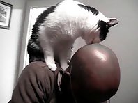 Cat Licks Owner's Head