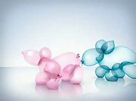 Balloon Animals