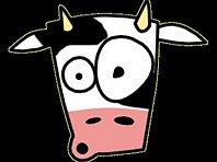 Funny cow pictures