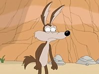 Wile E. Coyote, life after roadrunner