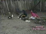 Bird attacks