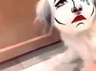 Funny Dog on Snapchat filter