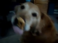 Ellie vs. The Evil Peanut Butter