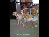 Adorable Boy and His Dog