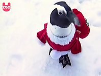 Santa Penguins