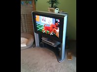 Puppy Bowl crash