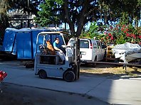 Crazy Dogs Riding a Forklift