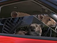 Kia Soul commercial