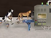 Dr. Squirrel's lab